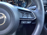 ステアリング右には運転支援系システムがまとまっており、運転中の操作の迷いを少なくしてくれます。