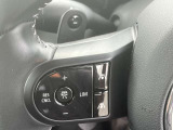 前方の車両を検知し、設定速度内で自動で加減速。渋滞や高速道路での運転負担を軽減し、安全かつ快適に車間距離を維持できます。