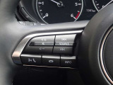 【ステアリングスイッチ】ステアリングスイッチは運転姿勢や視線を崩さずに操作が可能です。左側にはオーディオ類があります。
