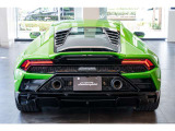 Body Color Verde Selvans