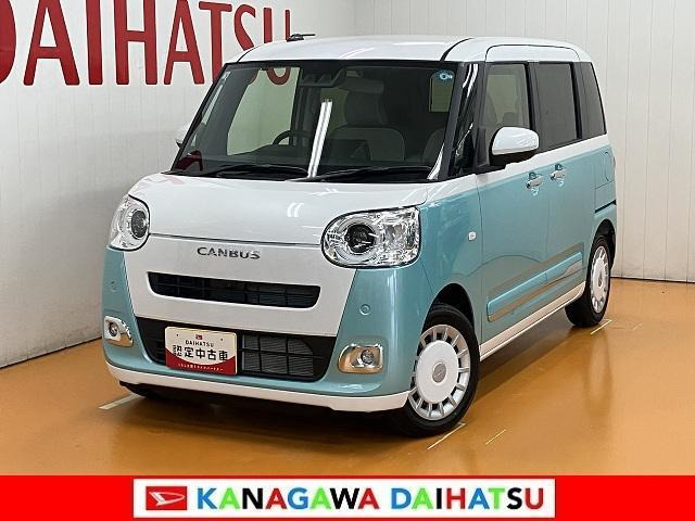 ムーヴキャンバス  ストライプス G
