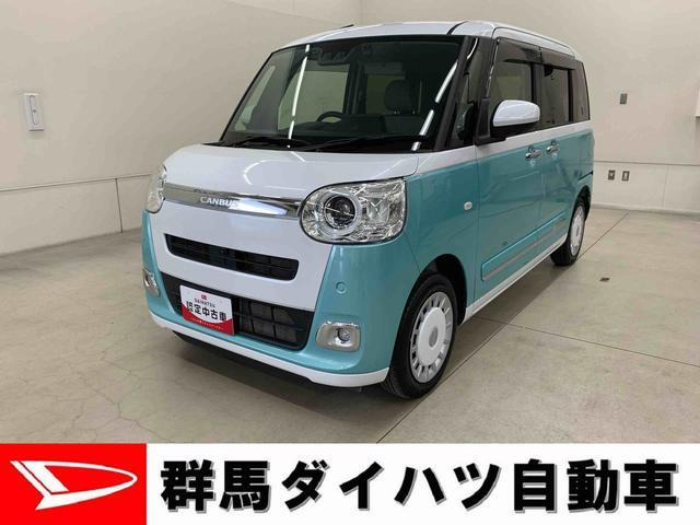 ムーヴキャンバス ストライプス G