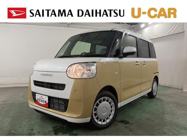 ムーヴキャンバス  ストライプス X