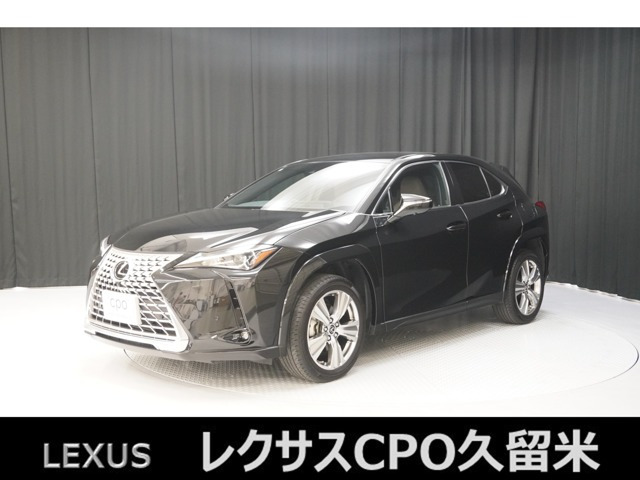 UX 250h グレイスフル エクスプローラー