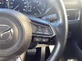 ステアリング右には運転支援系システムがまとまっており、運転中の操作の迷いを少なくしてくれます。