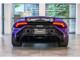 Mirror housings in body color