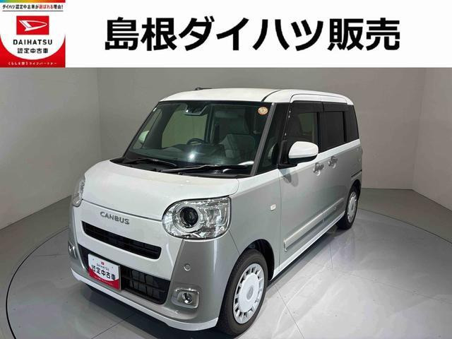 ムーヴキャンバス  ストライプス G
