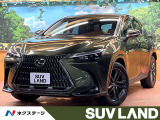全周囲カメラ ブラインドスポットモニター レーダークルーズ デジタルミラ