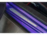 Door sill guards in Aluminium