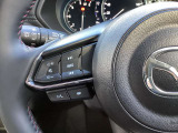ステアリング左にはオーディオ系システムがまとまっており、運転中の快適性をサポートしてくれます。