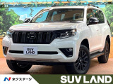 全周囲カメラ レーダークルーズ ブラインドスポットモニター ベージュ革