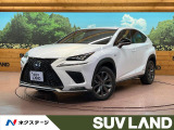 純正10型ナビ 全周囲カメラ プリクラッシュ レーダークルーズ