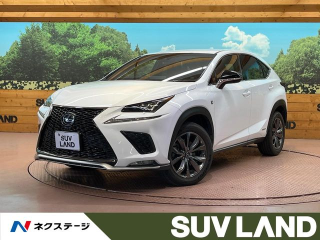 NX 300h Fスポーツ 