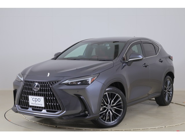 NX  