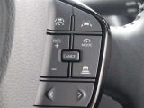レーダークルーズコントロール作動時に車線維持に必要な運転操作の支援を行う「レーントレーシングアシスト(LTA)」を搭載しています。