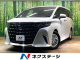 純正9.8型ディスプレイオーディオ 両側電動ドア 全周囲カメラ