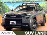 パノラマムーンルーフ サイドストレージランタン JAOSバンパーガード