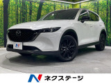 ターボ メーカーOP10インチナビ 衝突軽減 全周囲カメラ