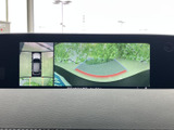 後方の映像に加え、車両周辺を俯瞰した表示も確認でき、駐車時の周囲確認をサポートします。画面上のガイドを目安にしながら、車庫入れや狭い場所での取り回しに活用できます。