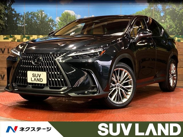 NX 250 バージョンL 
