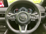 手元に各種スイッチが配置され、運転姿勢を保ちながら必要な操作へアクセスしやすい設計です。メーターや周辺表示を確認しつつ扱いやすく、日々の運転をサポートします。