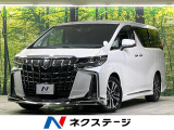 BIGX11型ナビ モデリスタエアロ フリップダウンモニター