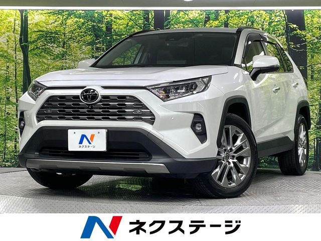 RAV4 2.0 G Zパッケージ 4WD