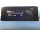 車線逸脱警報システム (LDWS) は自車が車線から逸脱する可能性があることを知らせる装置です。