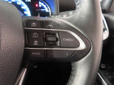 レーダークルーズコントロール(全車速追従機能付)