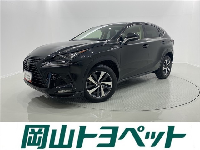 NX 300 ブラック シークエンス