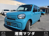 人気のキャロルが入荷いたしました!