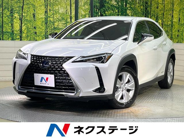 UX 250h バージョンC