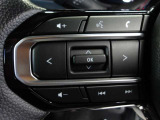 オーディオの音量やチャンネル操作ができるスイッチが、ハンドルに付いています。運転中でも、操作が行えて非常に安全・便利です!