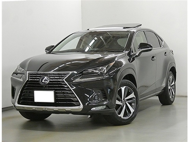 NX 300h バージョンL