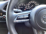 ステアリング左にはオーディオ系システムがまとまっており、運転中の快適性をサポートしてくれます。