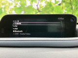 ソース一覧から交通情報やFM、AM、Bluetooth、USBなどを選べる画面です。目的や接続機器に合わせて音声の切り替えができ、日常の移動中も好みに合わせて利用できます。
