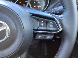 ステアリング右には運転支援系システムがまとまっており、運転中の操作の迷いを少なくしてくれます。