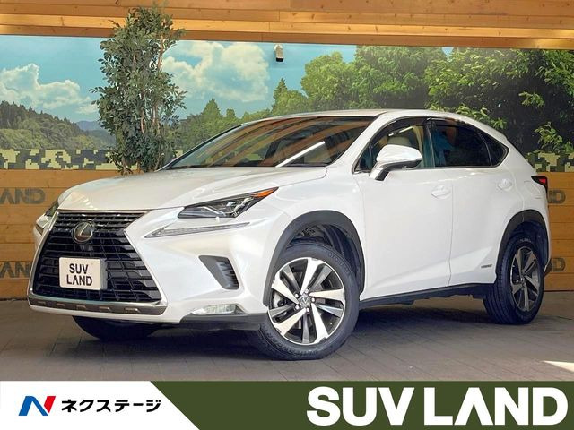 NX 300h Iパッケージ