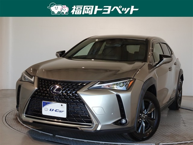 UX 250h バージョンC