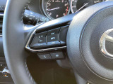 ステアリング左にはオーディオ系システムがまとまっており、運転中の快適性をサポートしてくれます。