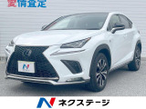沖縄県内での販売・登録が条件※宮古島除く