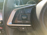 ハンドル左側には音量やSource、INFO、ミュートのスイッチがまとまっていて、運転中も視線を外さずオーディオを操作できます。