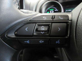 ステアリングスイッチは前方から目を離すことなく操作することが可能。わき見運転の防止に。