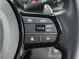 ◆アダプティブクルーズコントロール◆予め設定した車速内でクルマが自動的に加減速。前走車との適切な車間距離を維持しながら追従走行します。【LKAS】車線維持支援システムでステアリング操作を支援。