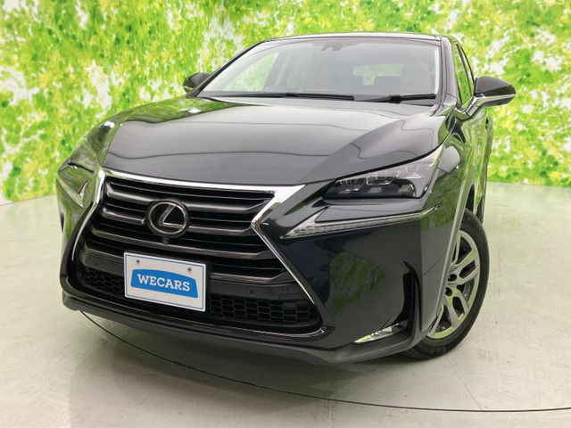 NX 200t Iパッケージ 4WD