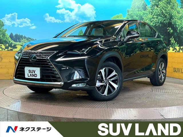 NX 300h バージョンL 