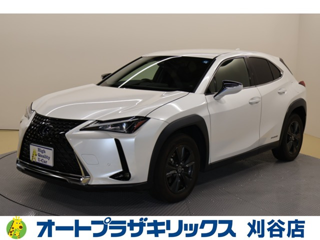 UX 250h バージョンC