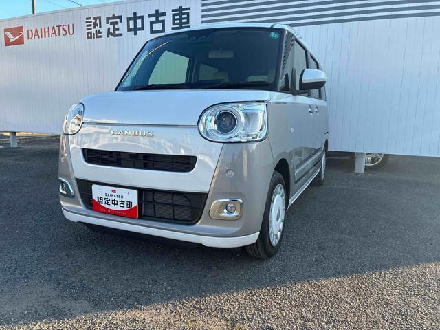 ムーヴキャンバス ストライプス G