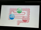 停車中にテレビや映像を楽しめる画面を備えています。表示内容を確認しながら視聴でき、休憩時間など車を止めて過ごすひとときにも便利です。視聴は安全に配慮し、停車中にお楽しみください。