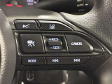 クルーズコントロールを装備。一定速度でのクルージングをサポートし、長時間の運転によるドライバーの疲労を軽減します。